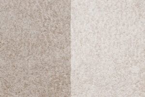DIY Carpet Cleaning vs. Professional Carpet Cleaning